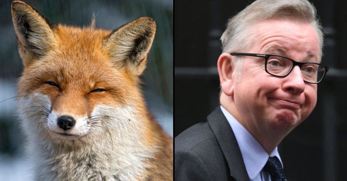 ladbible's tweet photo. MP's vote 'that animals can't feel pain or emotion'.
https://t.co/utS86brRy5 https://t.co/UjCc2T3sHc