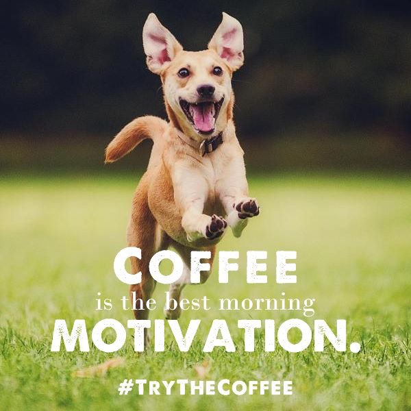 MyKinesisMoney's tweet photo. Like and share if you agree!
#TrytheCoffee #TasteTheGold
Free coffee samples 👉 https://t.co/DFymvfWgur https://t.co/0JGxrmZomy