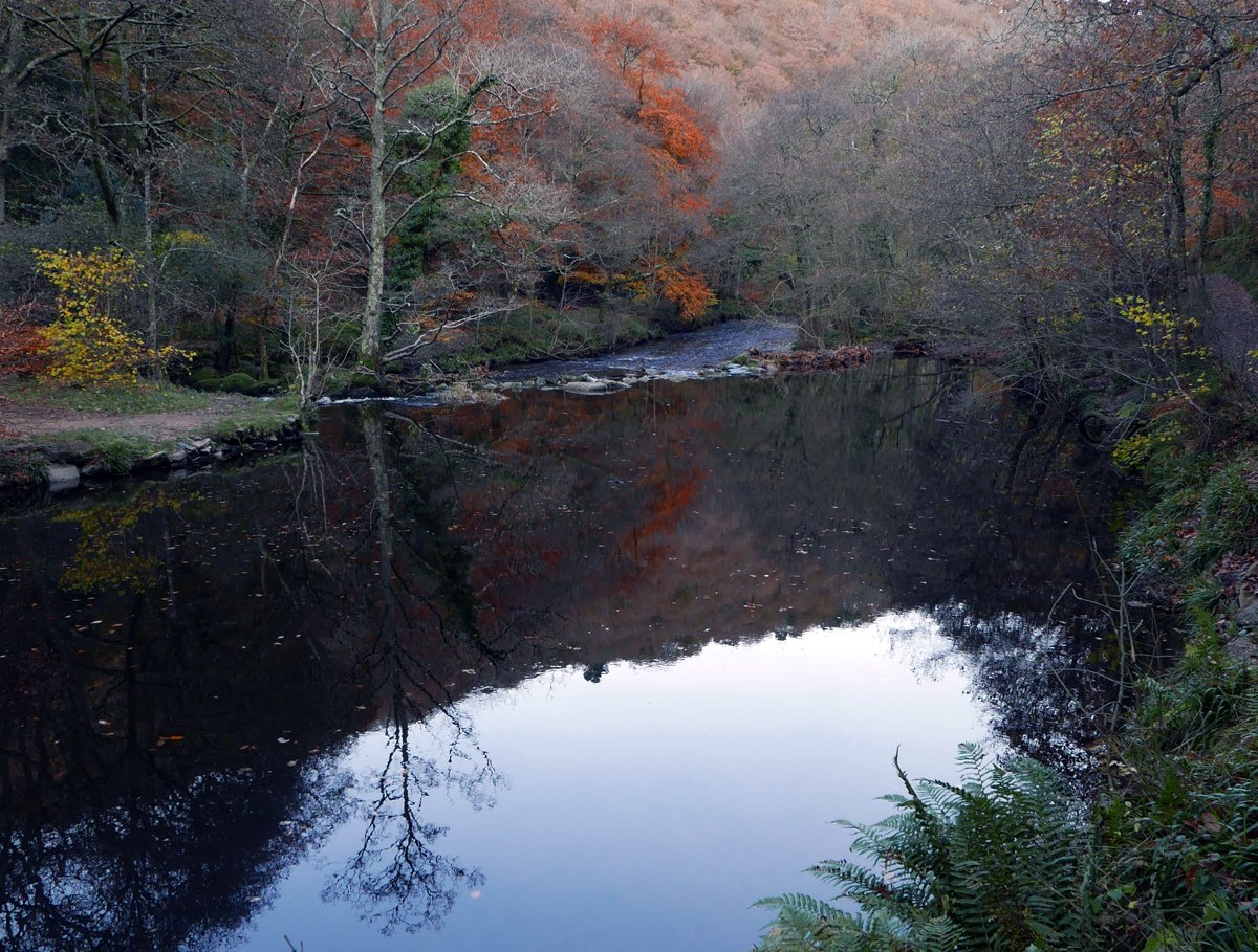ayrmer's tweet photo. Fingle gorge and woods in glorious #techicolour #autumn #Dartmoor ππ https://t.co/hpbha9wbne