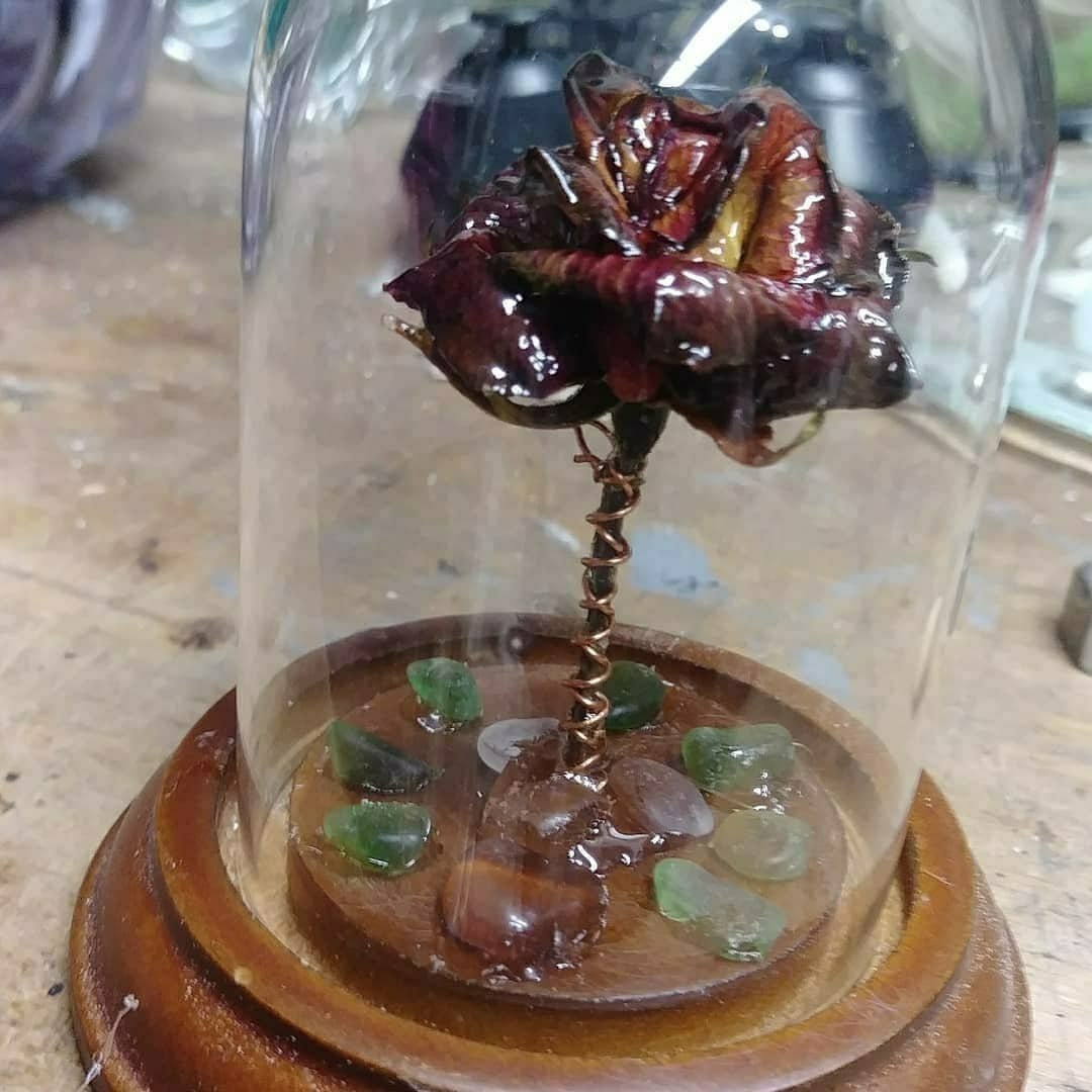 laketreasures's tweet photo. Instagram @thewoodtalksman - Secret project I finished 🤐 #polyurethane #rose #minirose #copper #copperwire #beachglass #ohio #grownbyme #igrewthis #secret #hehe #🤐 #loveit #notwood #maybedone - #regrann https://t.co/hAIHuUsxTC