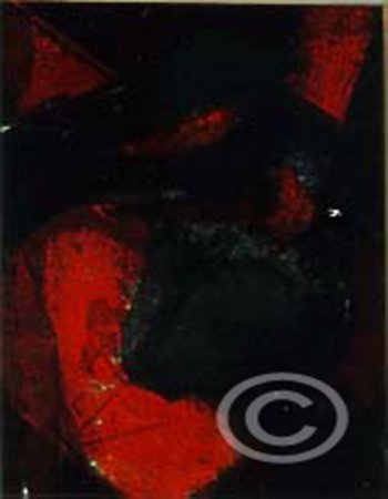 MivanessaVA's tweet photo. Art is the journey of the free soul. Explore more paintings here https://t.co/5MPVnEf3Hj #Mivaneesa #paintings #artists #MichellePhamGallery https://t.co/QQQTuCRp2R