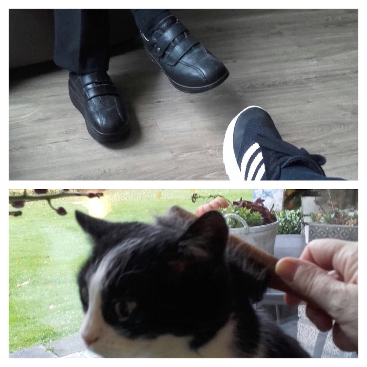 MariekeEilander's tweet photo. Vandaag computer uit en #meerzorgminderpapier @wzuveluwe  Dankbare cliënten (en kater) voor deze aandacht. https://t.co/GvVhZj7upy