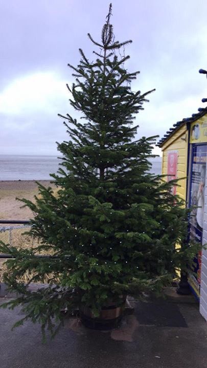 fleetwoodbeach's tweet photo. "It's beginning to look a lot like Christmas" here at #FBK...

Not only does our beautiful (and huge) Christmas tree 🎄 now have lights installed but we're very happy to let you all know that we're now serving hot mince pies with 2 generous scoops of our delicious ice cream. https://t.co/cAJxHaswlB