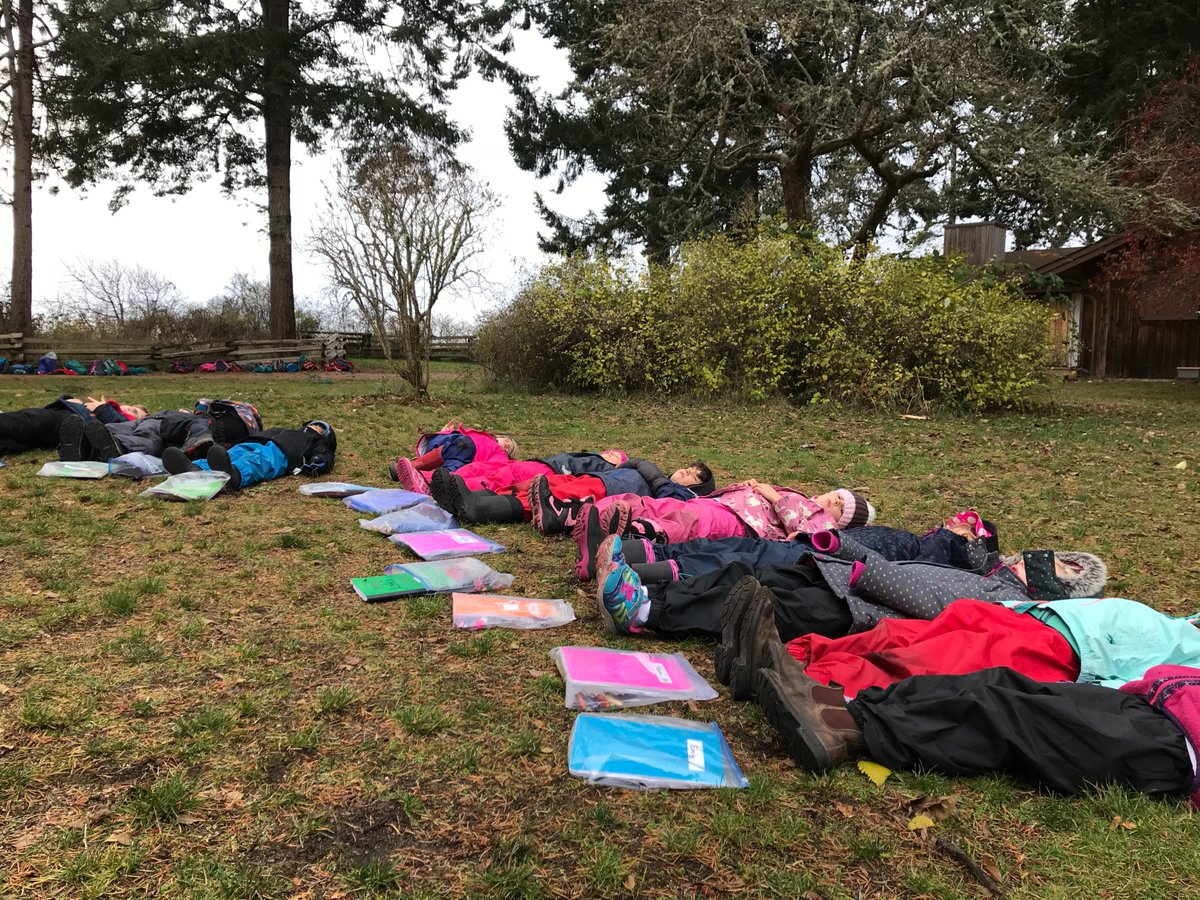 NESTrussell's tweet photo. Would we be good #hibernators? Could we keep warm enough and slow our heart rate as a bear does? How many breaths do we usually take each minute? when active? Can we take just 1breath/min like a groundhog? #CriticalThinking #inquiry
#Adaptation #numbersense https://t.co/YiYeTsEJbf