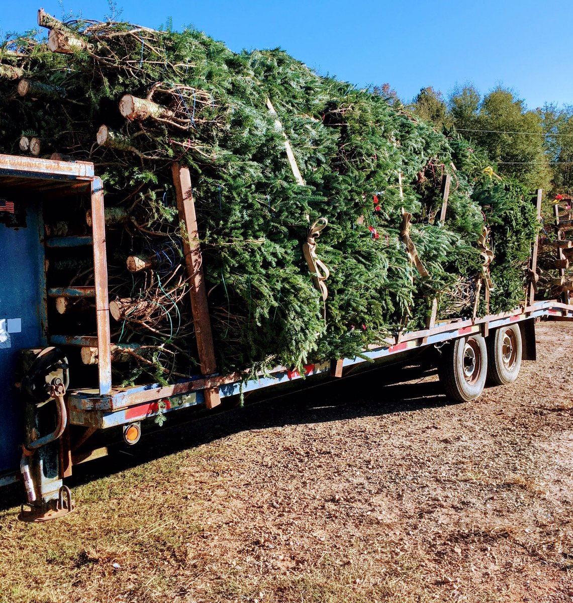 HugheyFarms's tweet image. The trees have arrived 🎄🎄