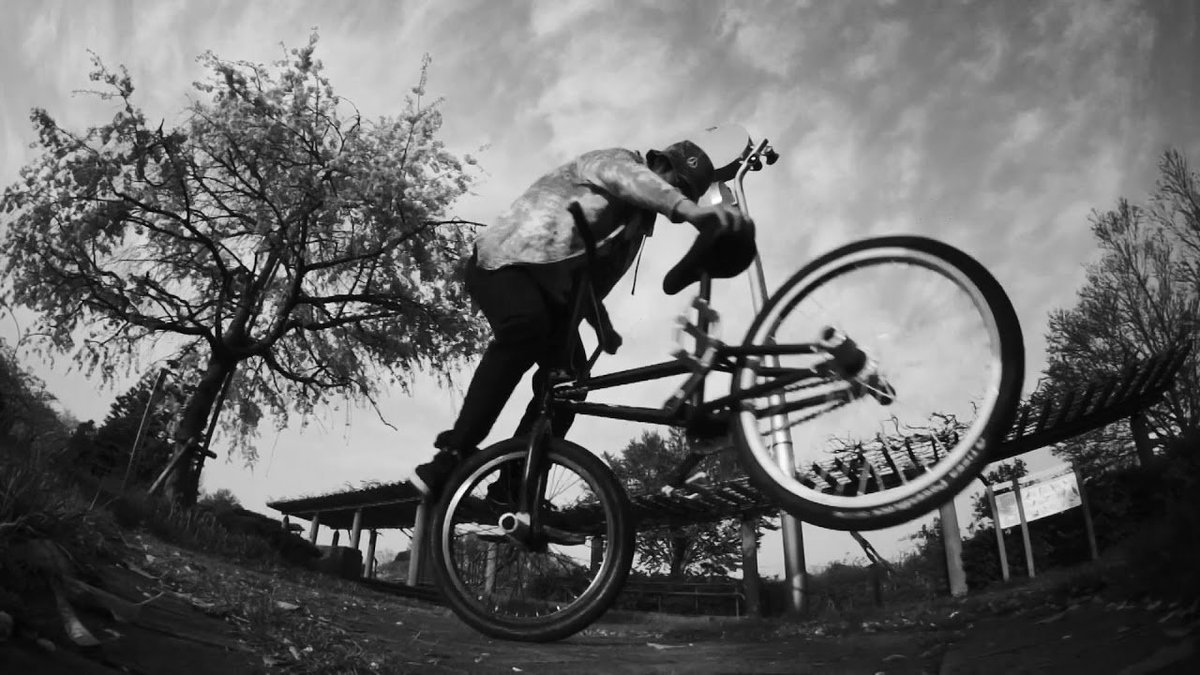 DIGBMX's tweet image. 'Landscapes 2' Trailer - digbmx.com/videos/landsca…