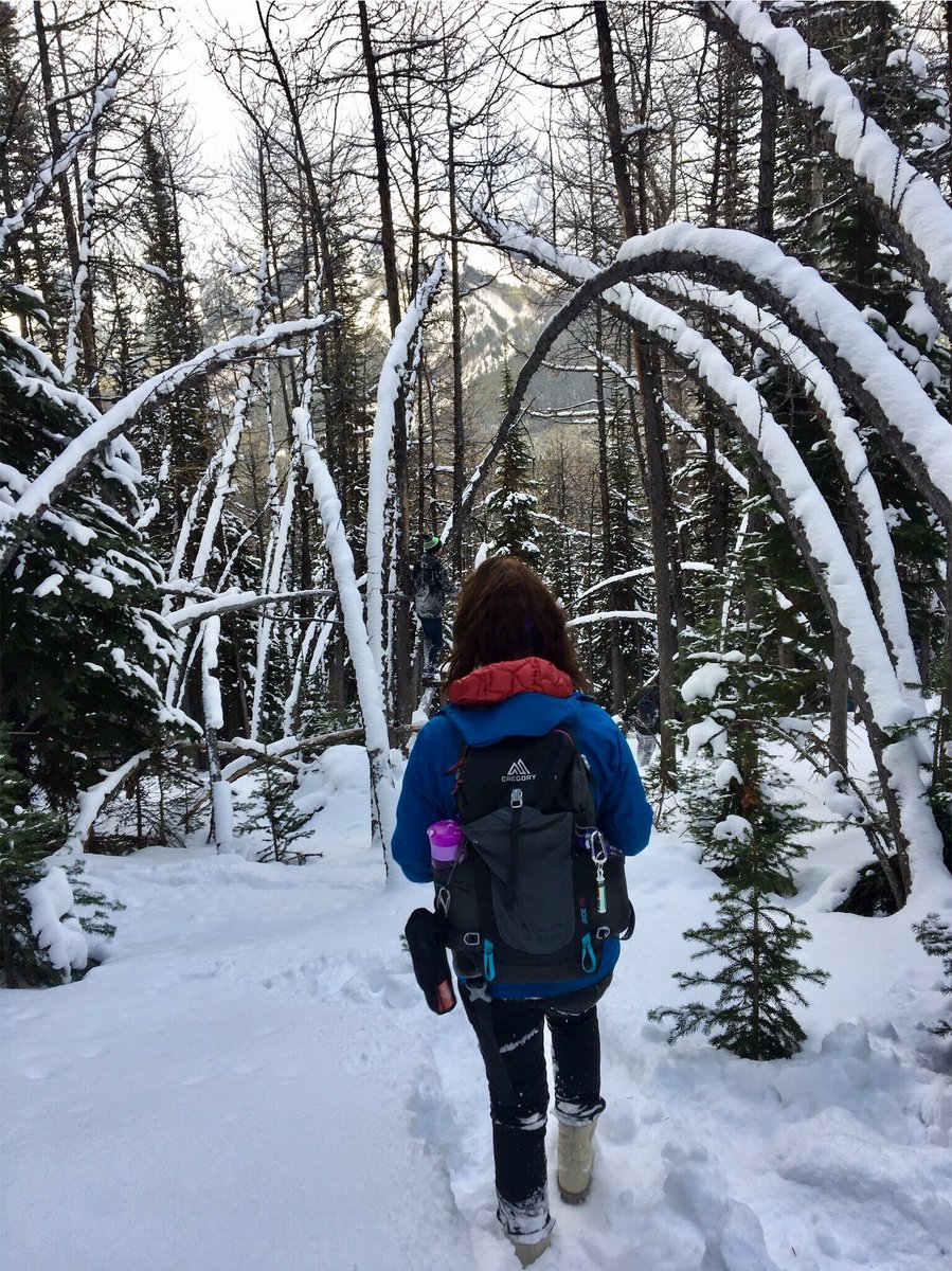 Monday blues- missing the mountains today! #hikersunite #takeusback #mountainlife #goodtimesoutside #mecstaffer