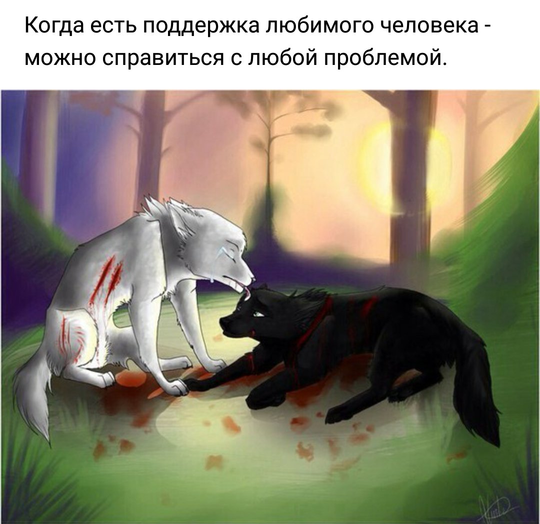 Белый и чёрный волк любовь