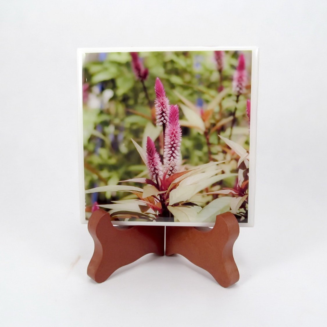 dovesclosetinc's tweet photo. Purple Flower 2 Handmade Photo Coaster, FI0009 https://t.co/D9bUvsykE4 #DovesClosetInc #PhotoCoaster https://t.co/D4h1Ip2rjB