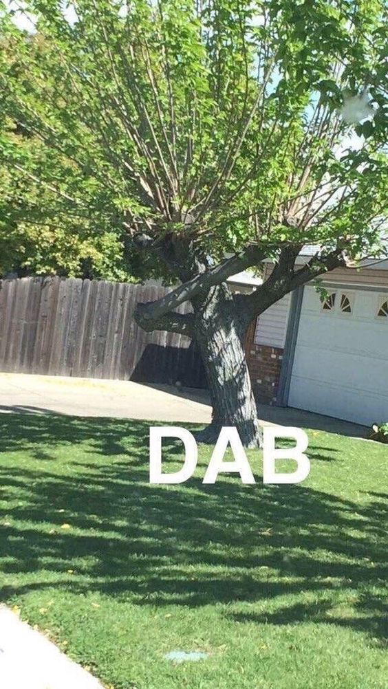 Smash Hills tweet media