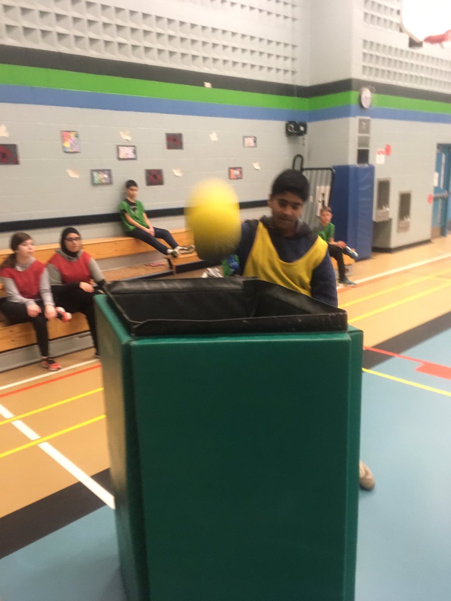 7_moose's tweet photo. You can teach old dogs new tricks @7_moose @andy_bulat teaching #slamball thx  @affleck43 @alewislongmuir @talbot_trailps https://t.co/3iPOwpxRb8