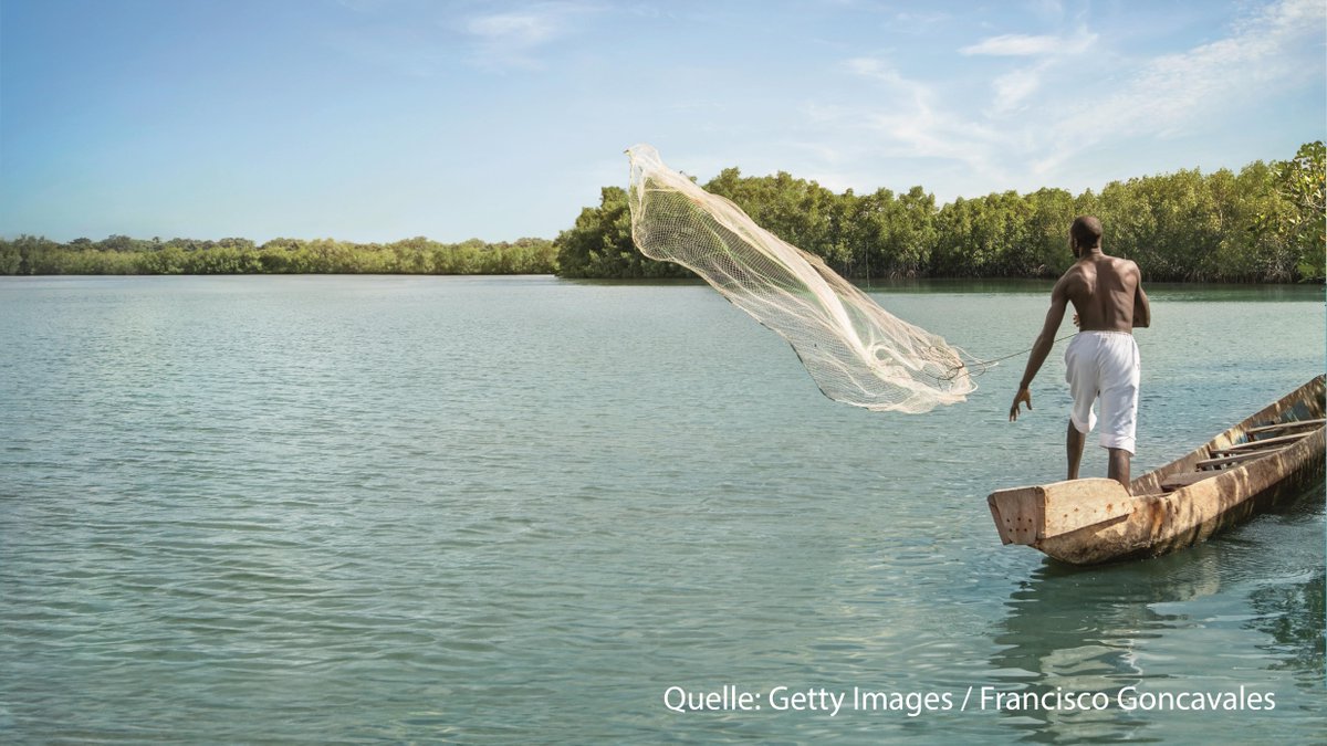 KfW_int's tweet photo. Full speed ahead for #ocean protection. KfW hosts international conference against #overfishing and #plastic litter : https://t.co/Q76ehaO284 #DFF17 https://t.co/lv61qqsG78
