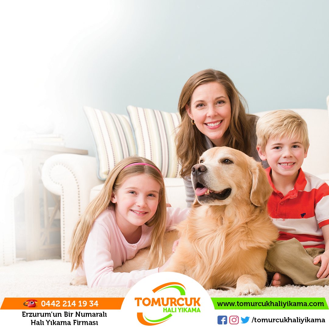 0532 763 33 68 Atasehir Hali Yikama Ana Sayfa