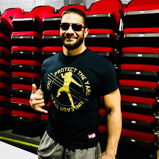 unleash the big dog t shirt