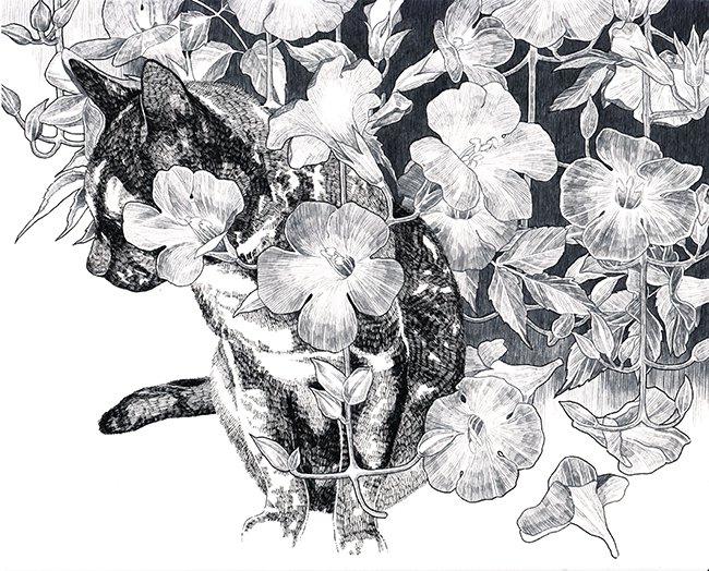 1年前の犬と猫。毎年5、6月に犬と猫と植物を「遠雷」というタイトルで描いている。でもタイトルは私の中のものなので表に出す時は無題にしてるけど。
今年は描けなかったな。 