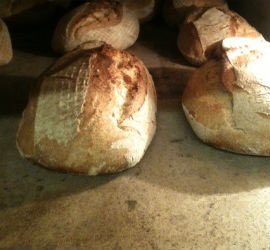 LeithSocial's tweet photo. Sourdough workshops @breadshare
Just £5pp which includes a recipe &amp; sourdough starter to take away. Amazing! This Saturday 25 Nov. See website more info: https://t.co/qKV2OZOI6u #breadshare #leith #sourdough #realbread #LoveLeith https://t.co/8HBsTbhdCJ