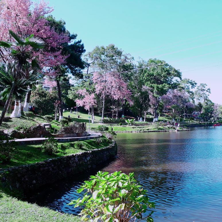 Wards Lake, Shillong.
P.C.  @forever_nappy_queen