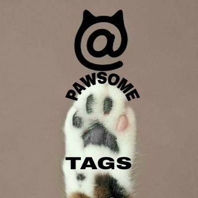 Top10Tags's tweet photo. ***Number 4***
For the week of 11/11โก11/17, the #4 Hashtag Game is
#280InTwoWords
From: @pawsometags
Hosts: @JMoney731 @mb_519 https://t.co/mGOAjVzdHD