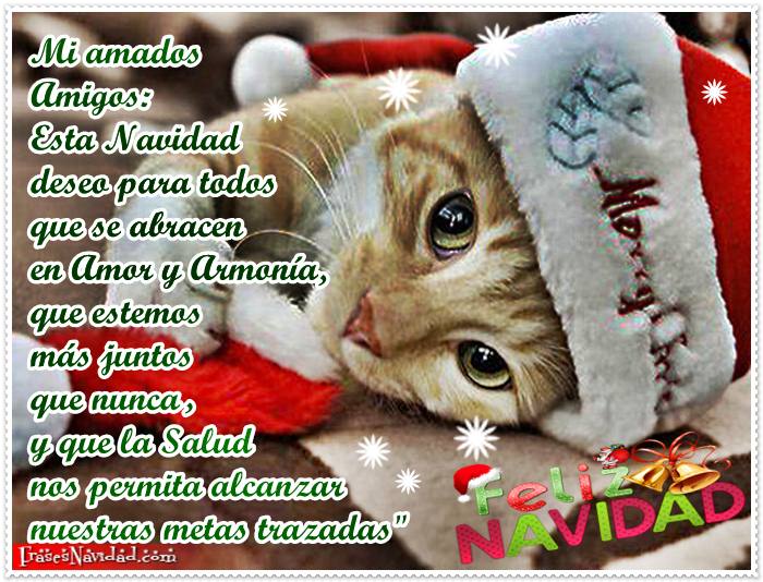 AVECLASVEM1's tweet photo. AVECLASVEM, se halla trabajando en la producción de un vídeo navideño, mediante el cual es nuestro deseo felicitar las Navidades, a todos nuestros amigos, seguidores y simpatizantes. https://t.co/2KTn4ybjaU