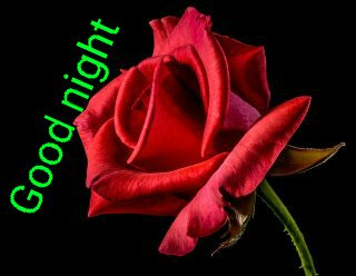 satheesh779's tweet photo. https://t.co/28II0WjLOT