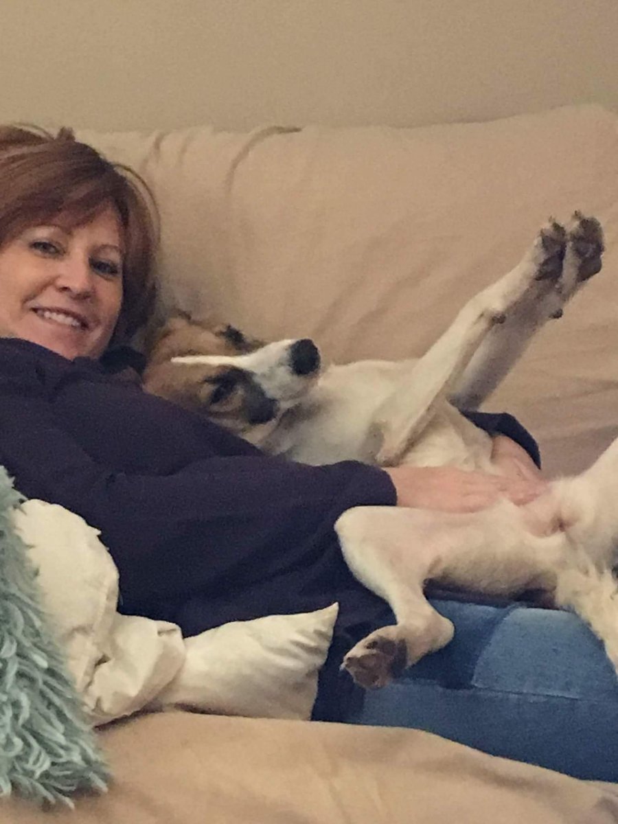 HavenMobay's tweet photo. This is what we strive for. Rescued and rehomed. #MondayMotivation #AdoptDontShop #rescuedbreedisthebestbreed #dogsoftwitter https://t.co/HgkLGS6g7D