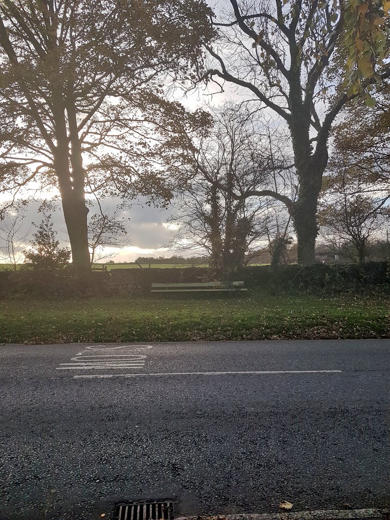 ViewsBench's tweet photo. Bench 17
Cornwall Road 
Harrogate 
18/11/17 https://t.co/oD6MWR6rMn