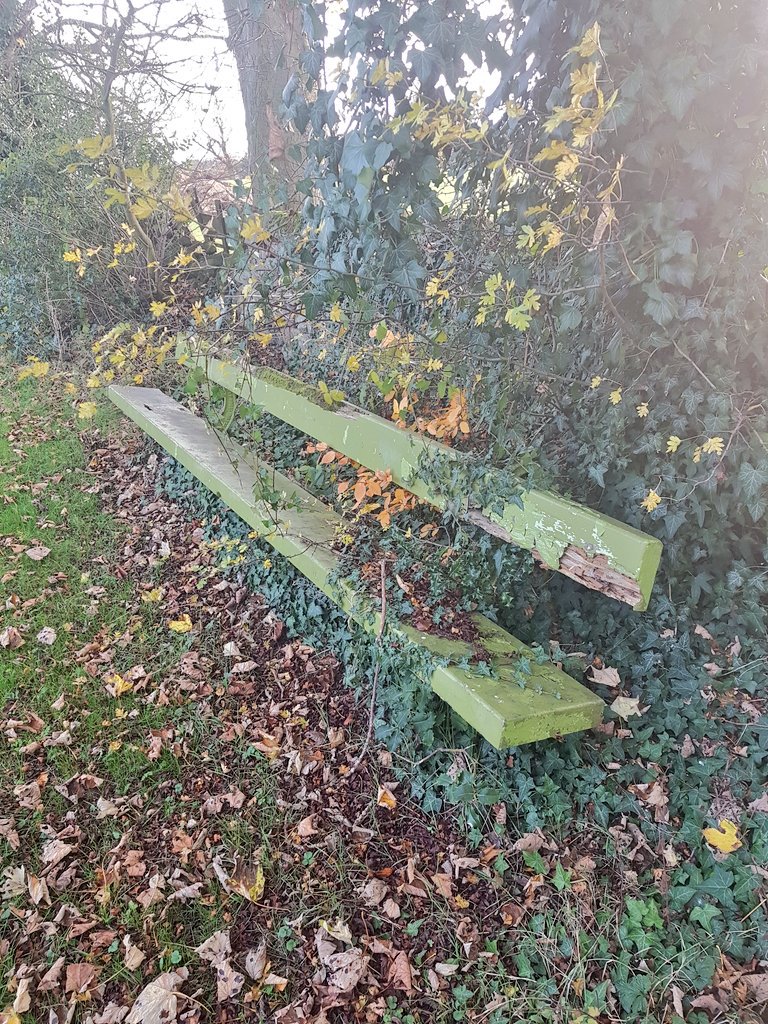ViewsBench's tweet photo. Bench 17
Cornwall Road 
Harrogate 
18/11/17 https://t.co/oD6MWR6rMn