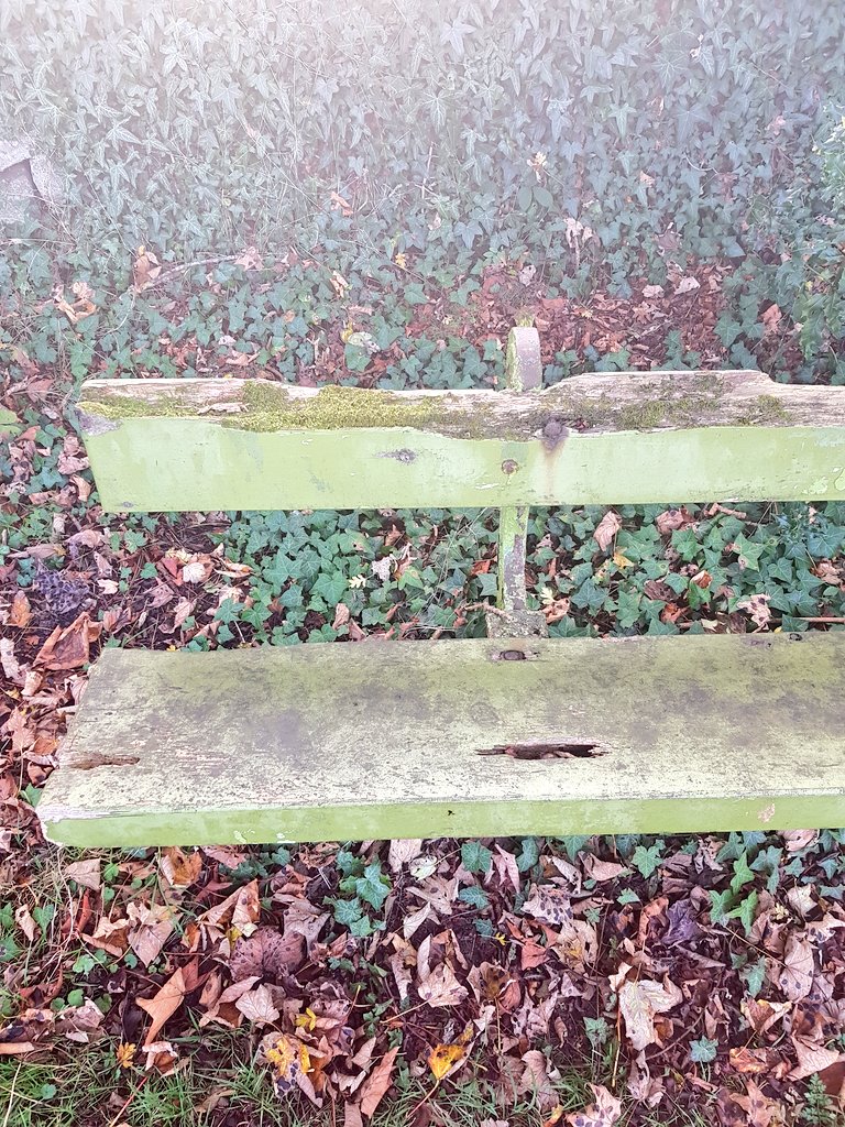 ViewsBench's tweet photo. Bench 17
Cornwall Road 
Harrogate 
18/11/17 https://t.co/oD6MWR6rMn