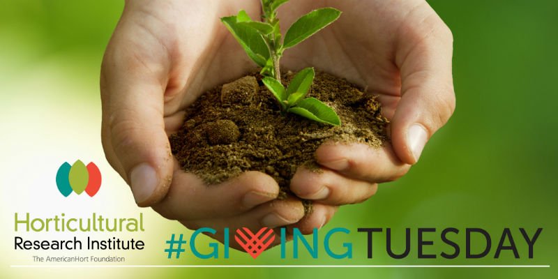 GPNmag's tweet photo. Horticulture Research Institute (@HortResearch) wants to hear from you on #GivingTuesday, Nov. 28. Why do you support #HortResearch?
https://t.co/TLN43YBqFL https://t.co/GrzwhhYItU