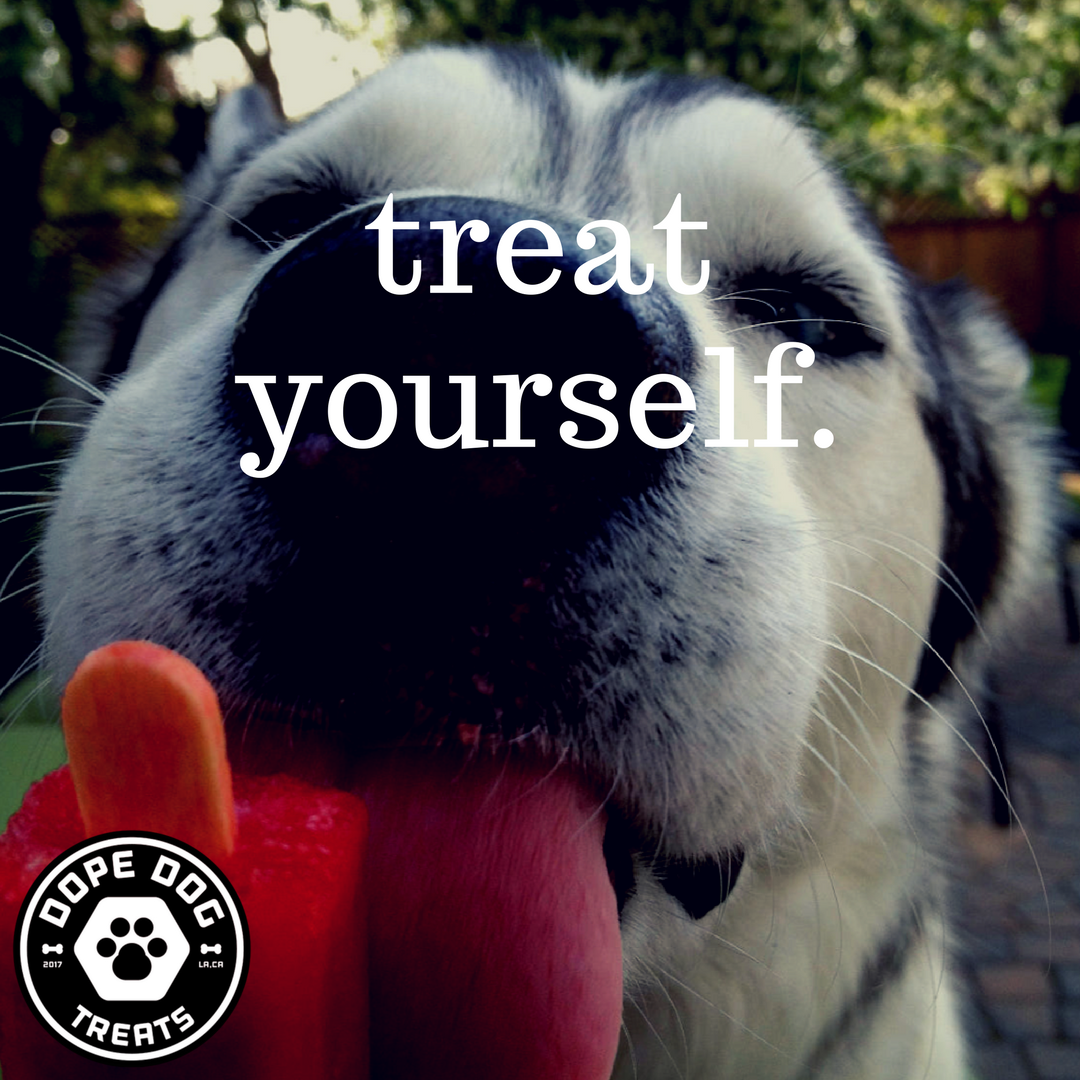 dopedogtreats's tweet photo. Treat yourself :)
.
.
.
#startup #startuplife #dogwellness #cbd #cbdwellness #cbdmovement #cbdforpets #cbdfordogs #Hempoilfordogs #cannabidiol#madeinusa #CDBforwellness #Hempoilfordogs #cannabinoids #Hemp #hemppets #hemppettreats #fullspectrumCBD #fullspectrumhempoil https://t.co/Ne3re8nPQQ