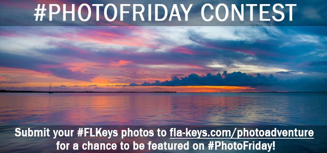 thefloridakeys's tweet photo. Don't forget our #PhotoFriday Contest is still in full swing! Submit your #FLKeys pics to https://t.co/8pNrXNtjjN for a chance to be featured every Friday! π΄ *make sure your image displays upright when attached* #floridakeys #photocontest #photography #visitflkeys #travel https://t.co/IEm5dBFM4w