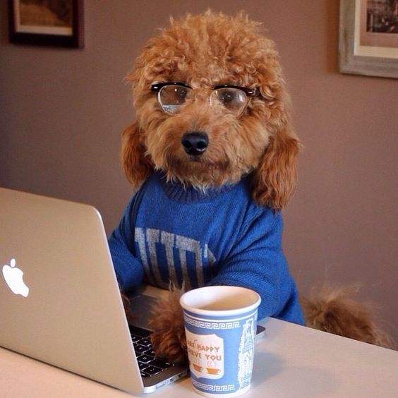thelaceylondon's tweet photo. You know you're a writer when staring into space counts as working...

#amwriting #writerslife https://t.co/gLuHiP7yqF