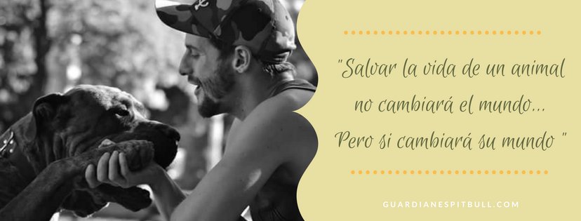 Guardianes Pitbull tweet media