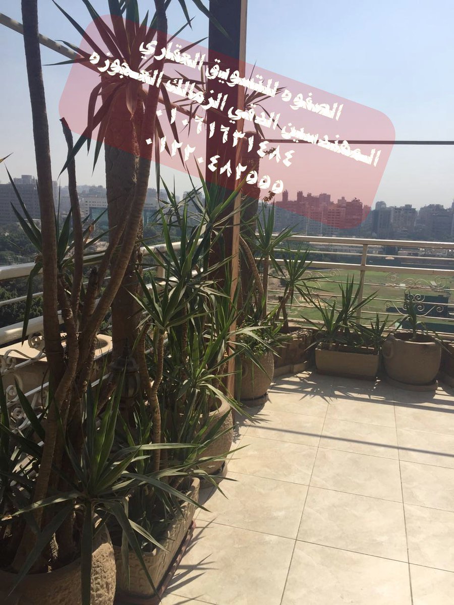 alsafwamesr's tweet photo. شقه مفروشه بالدقي  فيو نادي الصيد فرش راقي جديد فخم فيو رائع 2 غرفه وريسبشن 2 حمام فرش راقي للاتصال بنا 00201061631484
#اتحاد_طلبه_الكويت 
@Teacher_law
@Faress__q8 
@cairo_kwt
@KuwaitqEgy 
@dowassr
@alazmiegypt
@lawkwtt
@Banha_Law https://t.co/E0M0LnXfhn