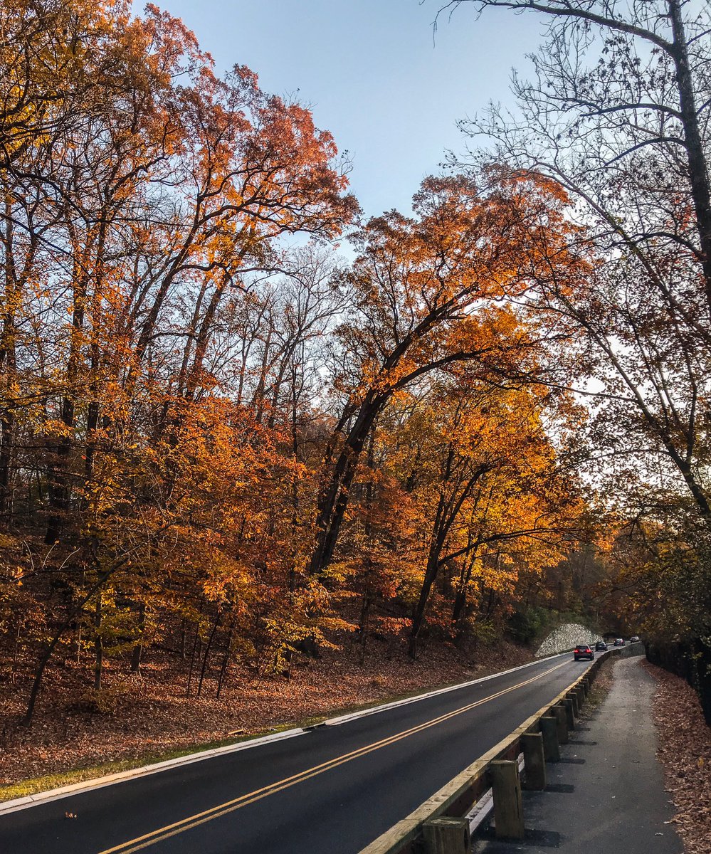 alyssaeisen's tweet photo. Stunning view and early morning light around Rock Creek Park. Half-marathon training, but I had to stop for a quick photo. Also saw a deer and what I think was a blue heron! πππ @capitalweather #dcfall #fallcolors #igdc #mydccool https://t.co/hQ1t7gxmYd