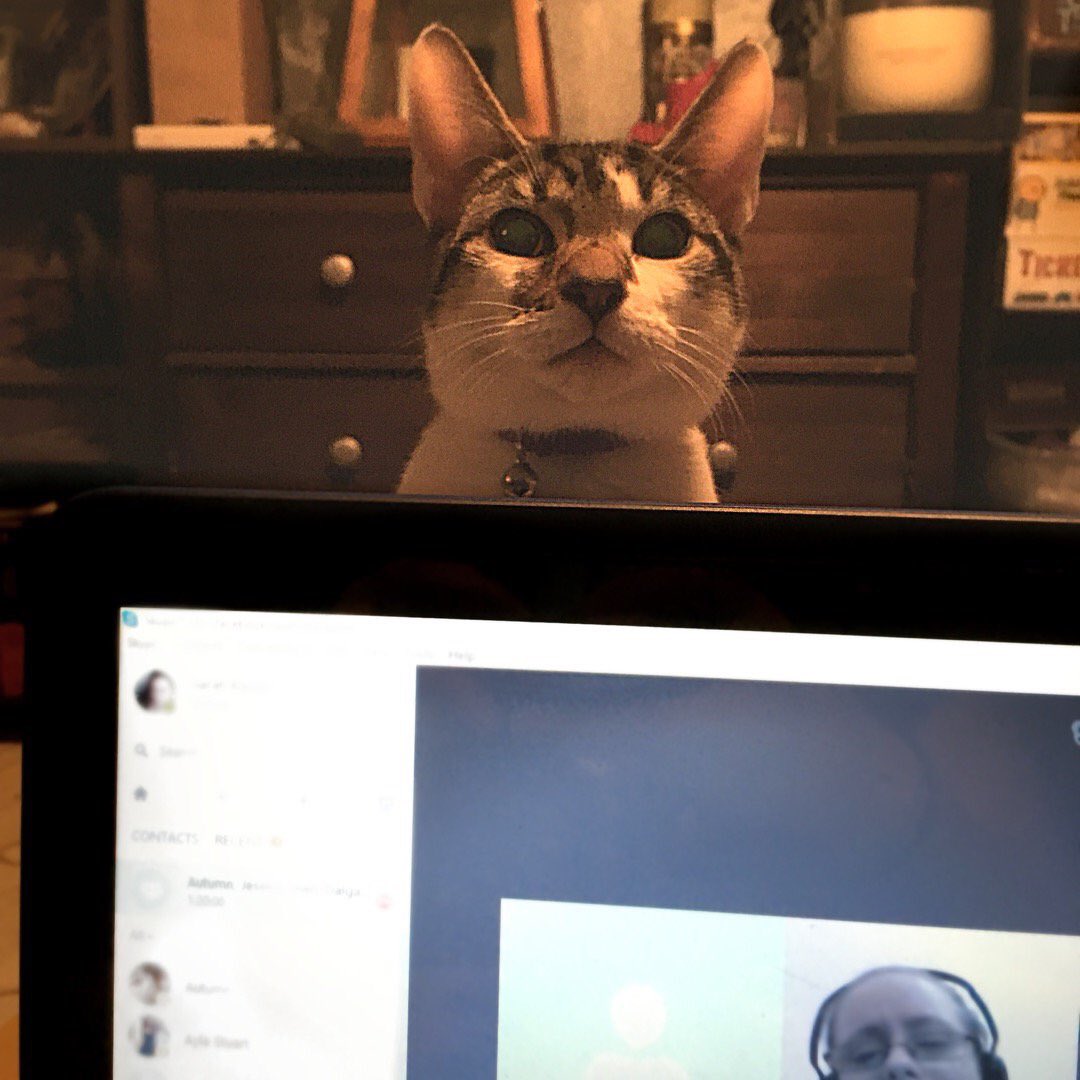 TGeekout's tweet photo. @RoughGiraffePod - Once again Odin & Loki try and make their way into the the The Nerdy Birds Podcast! We are #TeamKipper! https://t.co/a1BTrPsEQl