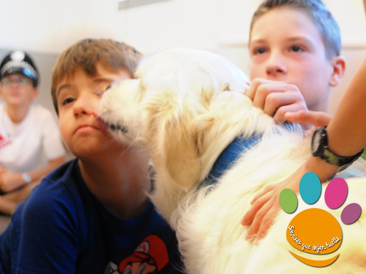 asociacionidogs's tweet photo. #DiaInternacionaldelainfancia Que los #DerechosdelaInfancia nunca falten
#idogs #SonrisasQueDejanHuella #perrosdeterapia #TherapyDogs https://t.co/AYr96vBt5s
