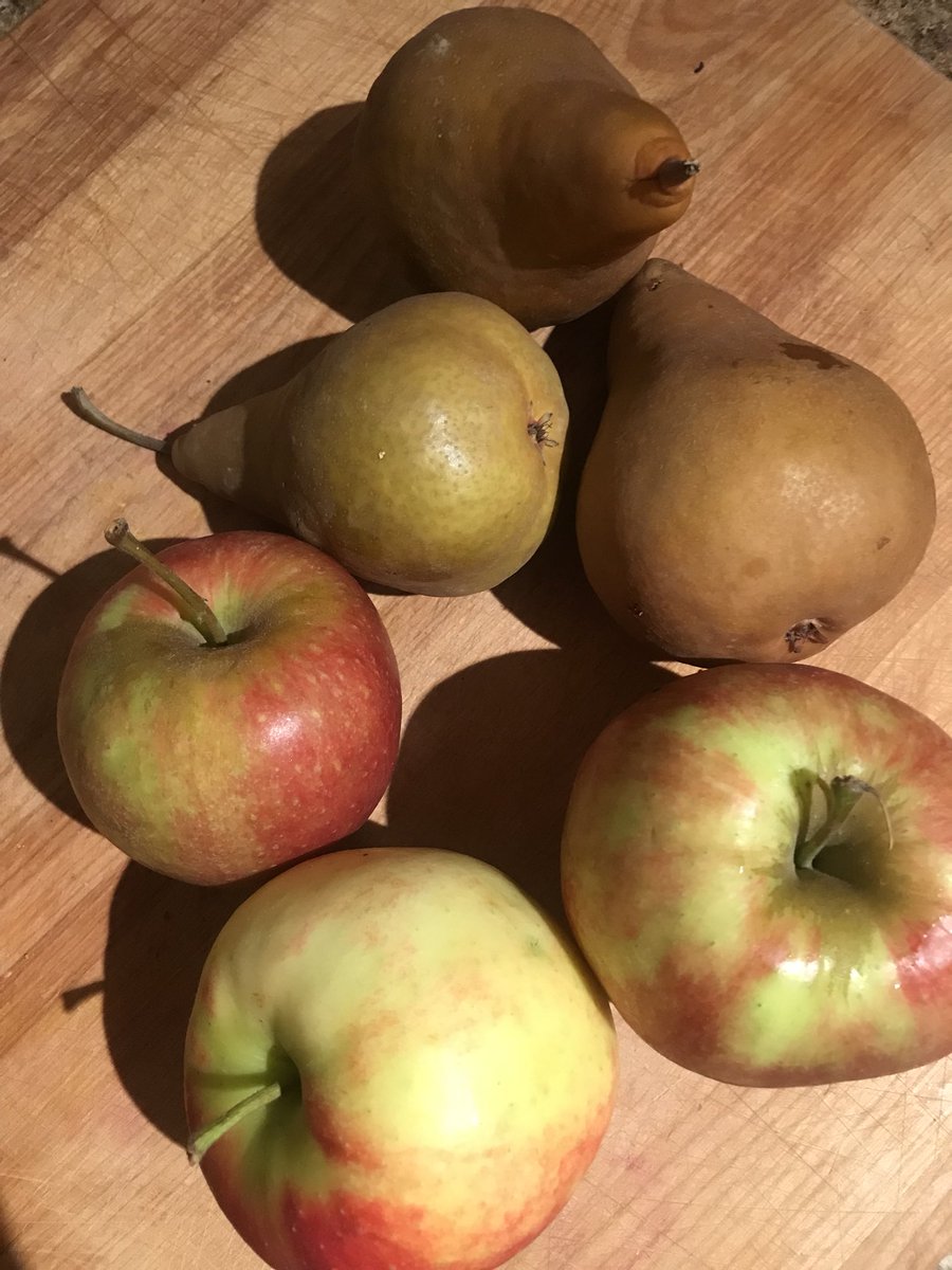 wtf do i do with all these veggies? 
🥦🍐Winter CSA. Box 1. Day 1. 🥦🍐 steemit.com/cooking/@ladyt…