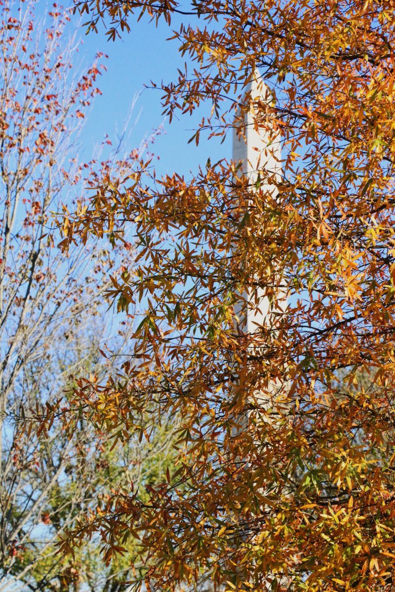 We are located just steps from the Metro, so you and your family can enjoy all the biggest sights of D.C. this holiday weekend!