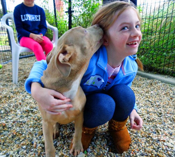 LASPCA's tweet photo. Is your little one out of school this week for the #Thanksgiving holiday? Sign them up for our Kids 'n' Critters Day Camp this Friday! This camp is a great opportunity to raise animal awareness in little ones in a fun and creative way. https://t.co/lnHbW7SQkd https://t.co/gJVagA1dhx