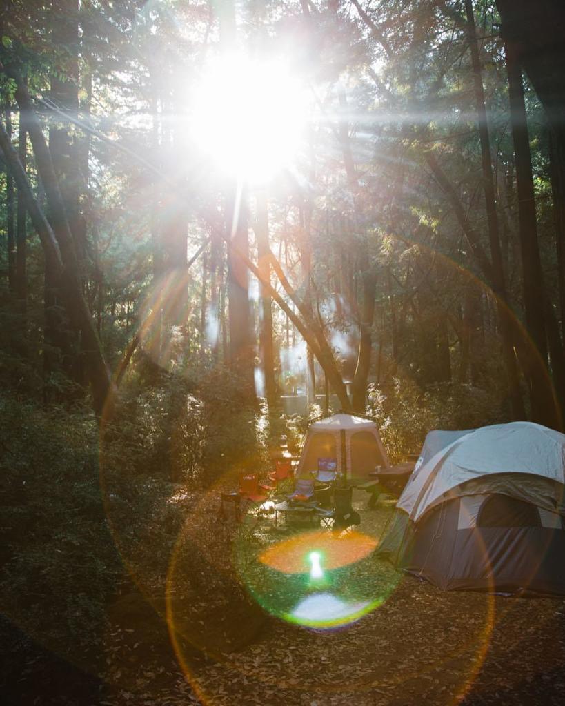 _viewfinders's tweet photo. "It is easy to remove from many photos if I’d like to, but do I want to? Or do I want to explore my creative choice and give my lens flare a chance in my final image? What do you think?" @maite_pons is on the blog asking to flare or not to flare. #viewfi… https://t.co/7GKZvXZV8H https://t.co/LkvNEuYait