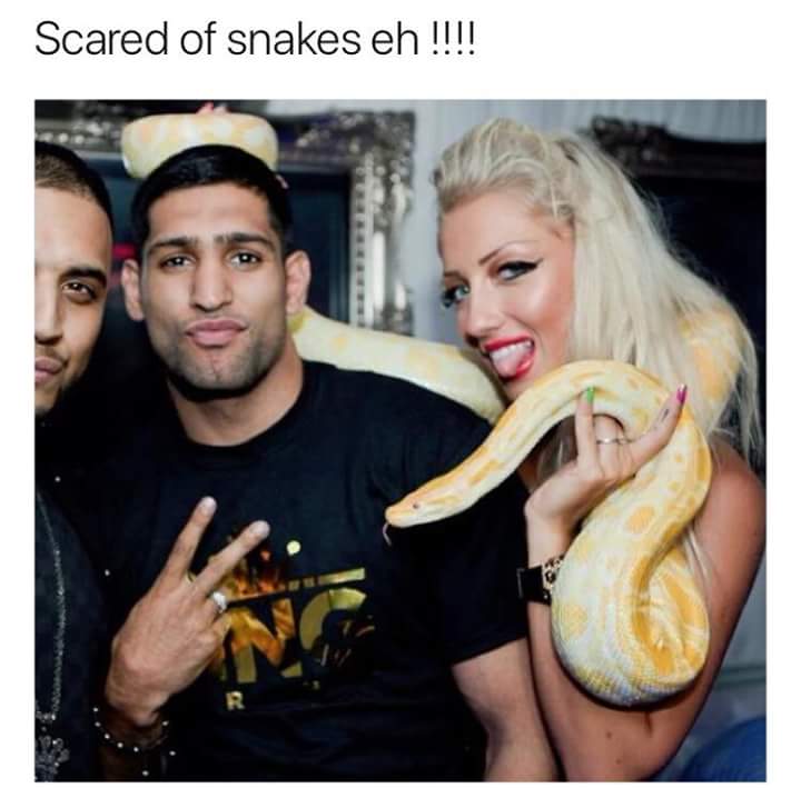 ASummerbell's tweet image. #ImACeleb