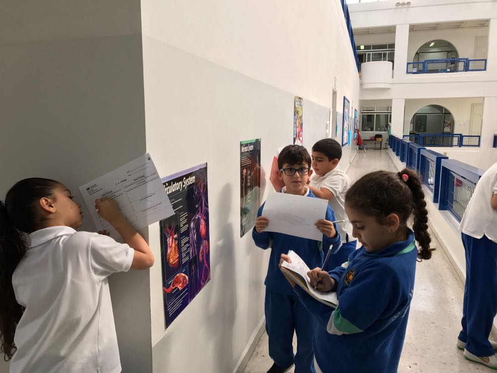 RHHS_Elementary's tweet photo. BE3B learners exploring body systems #tuning_in #finding_out https://t.co/HDshq6EdpN