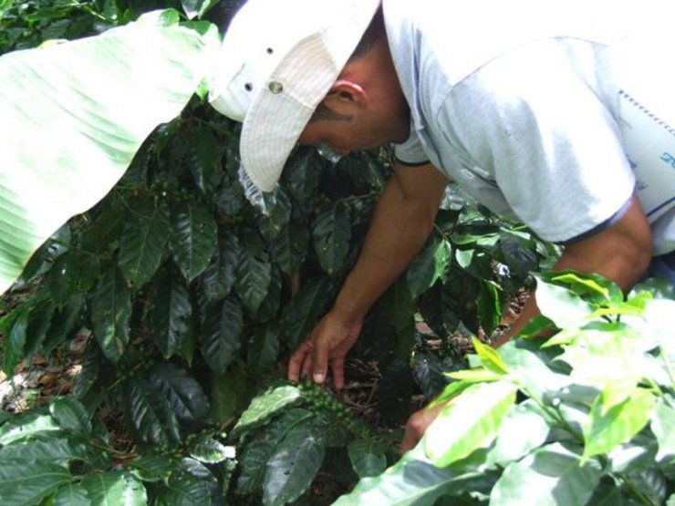 Incesocialista's tweet photo. #NoticiaInces | En el municipio Petit el Inces impulsa al motor agroalimentario con aprendizajes productivos https://t.co/sIPfZV4nei #20Nov https://t.co/uvLrSvP77A