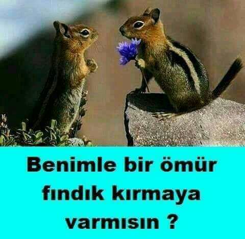 HANÇER.42 (@hancerliselim) on Twitter photo 