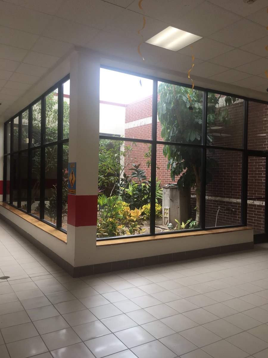 amaworsham's tweet photo. Atriums in schools are such a novel idea #promotecuriosity #makeobservations https://t.co/j3XWZ4CAqf