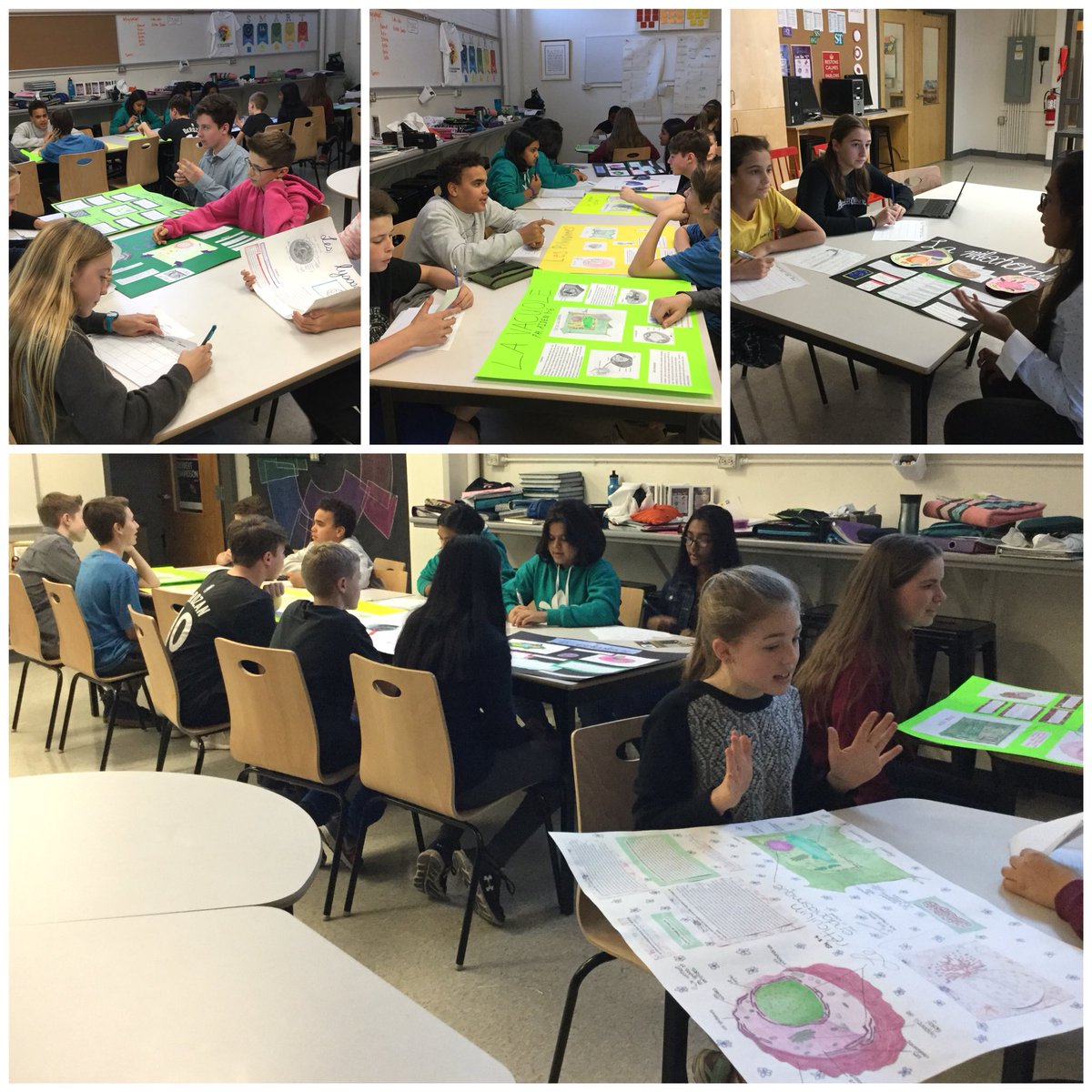 SandyPMiller's tweet photo. @glashanleads gr8 Ss holding #jobinterviews. Now hiring #cell #organelles! @ocdsb #science #6Cs #deeplearning @NewPedagogies #whatsinyourcell https://t.co/J1kgsM1JNK