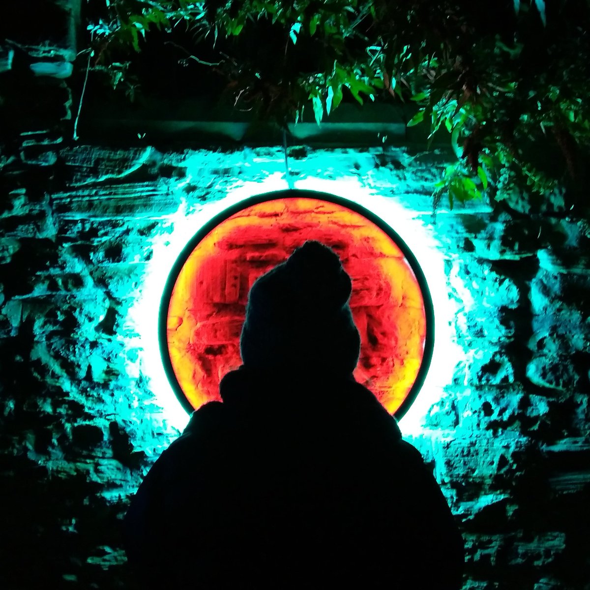 JennyGilbert17's tweet photo. #lumieredurham was incredible @lumieredurham #installationart #streetart #lightnight https://t.co/vZpnZfT1XJ