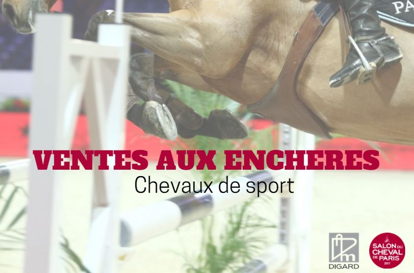 Salon du Cheval de Paris tweet media