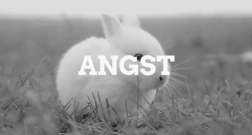 Storch_i's tweet photo. Neuer Plakatvorschlag für @fdp & @c_lindner: Angst. #Lindnerfirst #Verantwortungsecond @janboehm https://t.co/j88046SiII